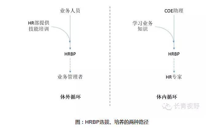 人力资源三支柱,想说爱你不容易 | 中国人力资源